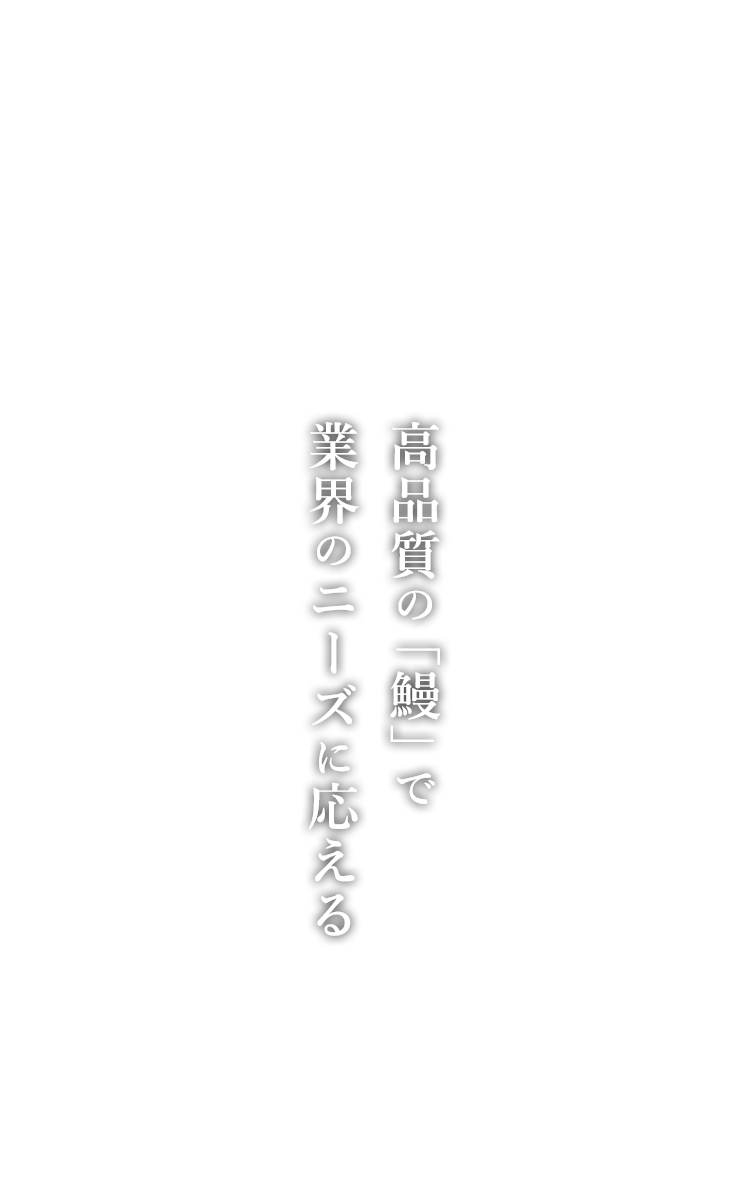 高品質の「鰻」で