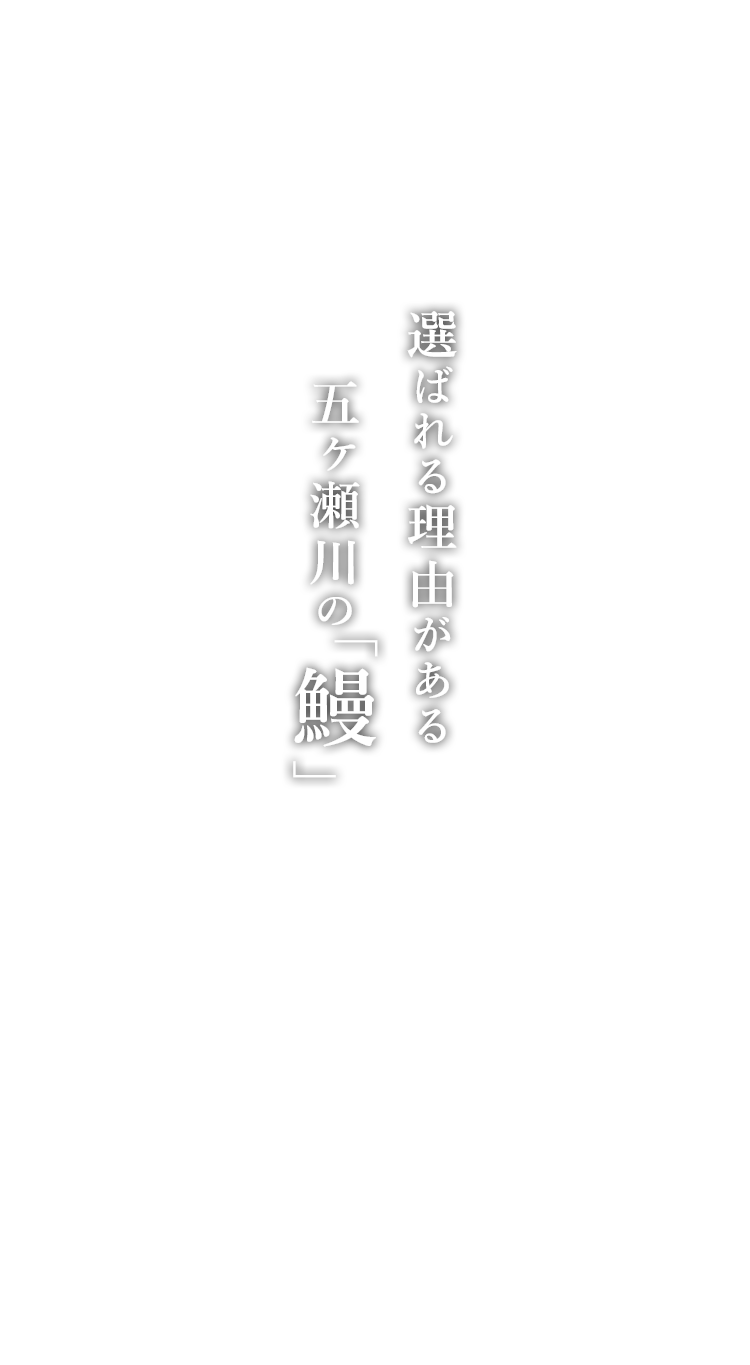 五ヶ瀬川の「鰻」